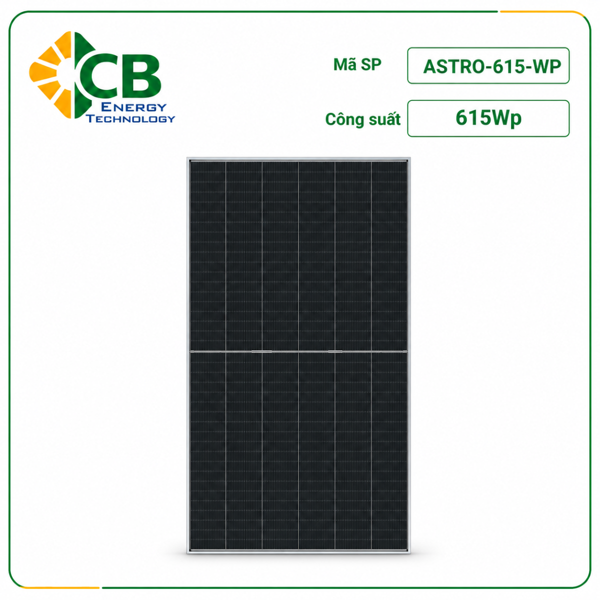 tấm pin năng lượng mặt trời Astro 615Wp 2 mặt kính