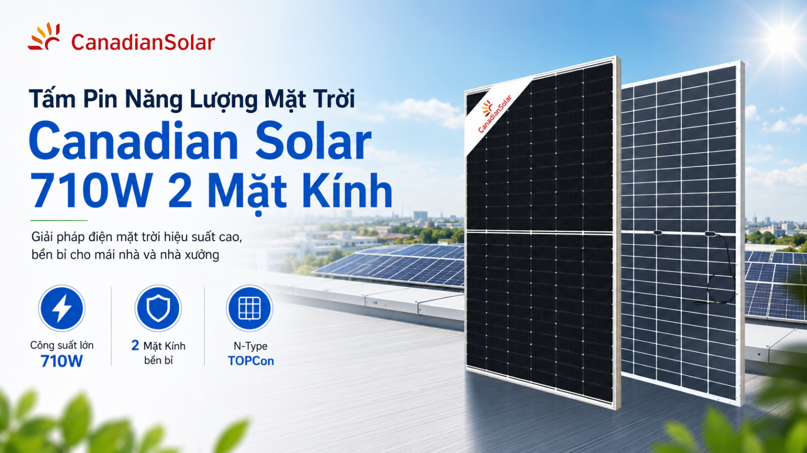 Pin năng lượng mặt trời Canadian Solar 710W N-Type TOPCon